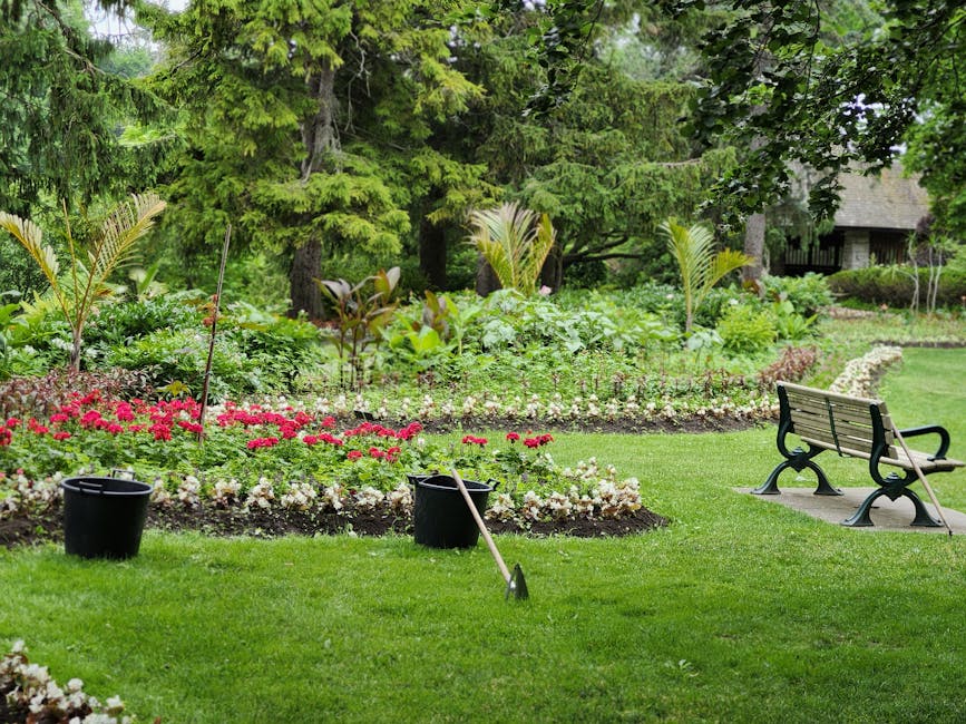 A lush garden scene featuring neatly maintained green lawn areas with freshly cut grass and defined flower beds filled with vibrant pink and white blooms. In the middle ground, two black buckets rest on the grass, alongside garden tools such as a rake and a long-handled pruning shear, suggesting recent or ongoing garden maintenance. The background displays a variety of mature trees, including tall conifers and palm-like plants, providing shade and structure to the garden. A wooden bench with a metal frame is positioned on a small paved area, offering a spot for relaxation amidst the greenery. Surrounding the garden are borders of low-lying shrubs and leafy plants, with a pathway leading to a distant house partially obscured by trees. The scene is evenly lit, indicating natural daylight, and the overall composition emphasizes a well-cared-for outdoor space maintained by Gardeners Earls Court, highlighting landscaping work and lawn care in a tranquil setting.