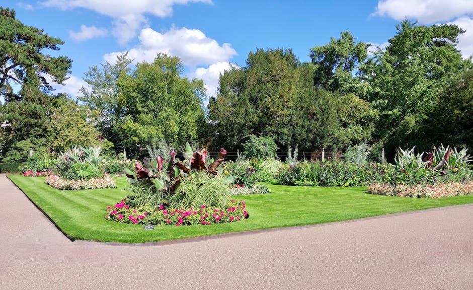 A gardener wearing a wide-brimmed hat and dark clothing is trimming dense, green foliage of a large hedge with long-handled pruning shears. The hedge features lush, healthy leaves with some pink flowering buds visible, and the top of the hedge is being shaped neatly. The setting appears to be an outdoor garden space under natural sunlight, showcasing well-maintained landscaping work by Gardeners Earls Court. The background includes a plain green wall or fence, emphasizing the focus on the hedge maintenance and landscaping activity, reflecting professional garden care and lawn trimming services.